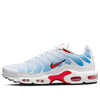 Nike Air Max Plus 'Tide' 604133-423
