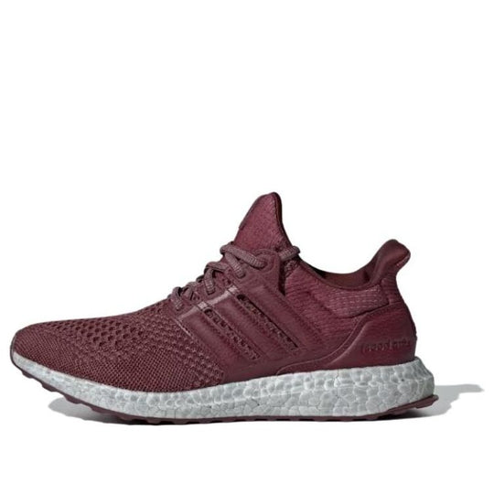 (WMNS) adidas UltraBoost 1.0 'Shadow Red' ID9676