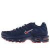 Nike Air Max Plus 'Navy Red' AO9565-400