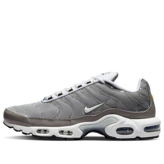 Nike Air Max Plus SE 'Flat Pewter' DV7665-002
