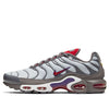 Nike Air Max Plus 'Metallic Platinum Gym Red Gunsmoke' 852630-041