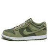 Nike Dunk Low 'Palm Green' 904234-300