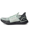 adidas UltraBoost 19 'Linen Green' F34075