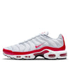 Nike Air Max Plus 'Air Max 1' DM8332-100
