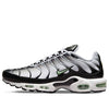 Nike Air Max Plus 'Seafoam' DH4776-100