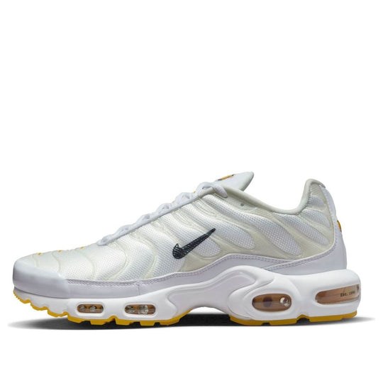 Nike Air Max Plus SE 'Frank Rudy' DQ8960-100