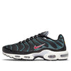 Nike Air Max Plus 'Anthracite Hasta' DC6094-002
