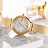 CASIOSHEEN Waterproof Quartz Sapphire Crystal Solar Powered Silver DialGold Strap SilverGold Analog