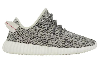 adidasYeezy Boost 350 'Turtle Dove'