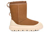 UGGClassic Short Weather Hybrid 'Chestnut Whitecap'