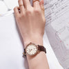 CASIOWaterproof SHEEN Quartz Sapphire Crystal Brown Analog