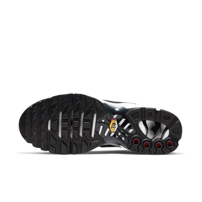(WMNS) Nike Air Max Plus 'Chain Links' CQ6360-001