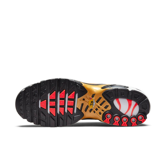 Nike Air Max Plus SE 'Iron Grey Metallic Gold' DM7570-002
