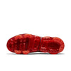 Nike Air VaporMax 2019 'Burgundy Ash' AR6631-601