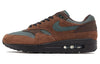 Nike Air Max 1 'Beef & Broccoli' FZ3590-259