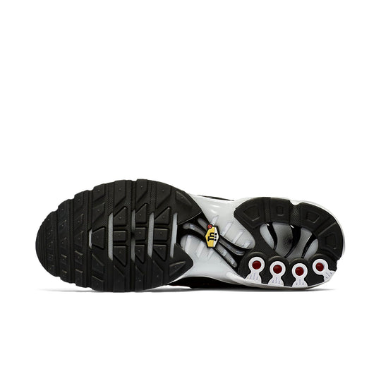Nike Air Max Plus SE 'Big Logo' AT0040-001