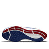 Nike x NFL Air Zoom Pegasus 38 'New York Giants' DJ0835-400