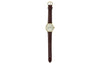 CASIOQuartz Waterproof Brown Analog
