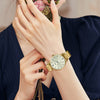 CASIODRESS Series Waterproof Gold Analog