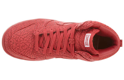 Nike Dunk High Premium 'Ultimate Glory' 323955-661