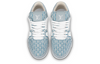 LOUIS VUITTON LV Trainer Sneakers 'Blue Stripes with Monogram' 1ABG1N