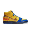 Nike SB Dunk High Pro DB 'Doernbecher' 579603-740