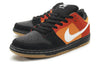 Nike SB Dunk Low Pro 'Reverse Raygun' 304292-047