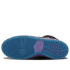 Nike SB Dunk High Pro 'Black Grape' 313171-027