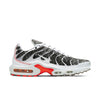 Nike Air Max Plus Essential 'Crater - Photon Dust' DA9326-100