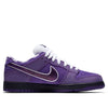 Nike x Concepts SB Dunk Low 'Purple Lobster' BV1310-555