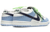 Nike SB Dunk Low Premium 'Golf' 313170-141