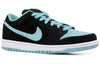 Nike SB Dunk Low Pro 'Clear Jade' 304292-030