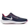 Nike x NFL Air Zoom Pegasus 39 'Houston Texans' DR2045-400