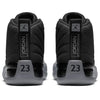 Air Jordan 12 'Black Wolf Grey' CT8013-019
