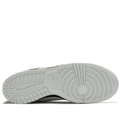 Nike Dunk Low CL 'Jordan Pack' 304714-117