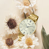 CASIODRESS Series Waterproof Gold Analog