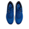 Nike x NFL Air Zoom Pegasus 39 'Indianapolis Colts' DR2046-400