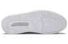 Air Jordan 3 Retro 'Silver Anniversary' 398613-102