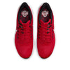 Nike Air Zoom Pegasus 39 'Ohio State' DR1966-600