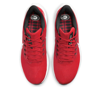 Nike Air Zoom Pegasus 39 'Georgia' DR1990-600