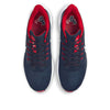 Nike x NFL Air Zoom Pegasus 39 'Houston Texans' DR2045-400