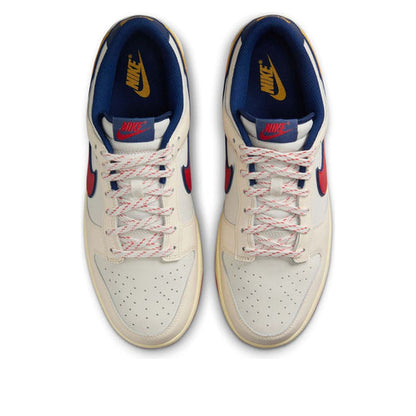 Nike Dunk Low Retro SE 'Retro Pack' HV5749-110