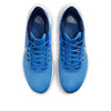 Nike Air Zoom Pegasus 39 x NFL 'Tennessee Titans' DR2063-400