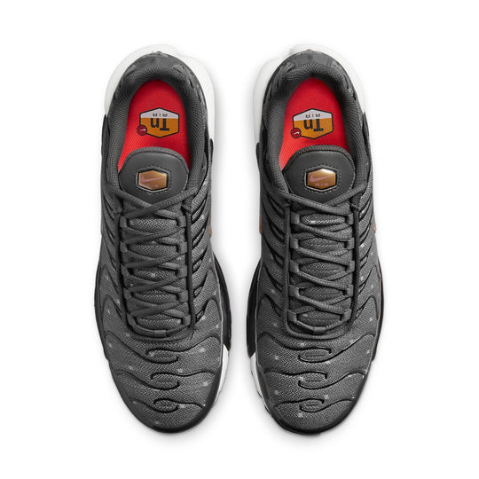 Nike Air Max Plus SE 'Iron Grey Metallic Gold' DM7570-002