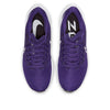 Nike Air Zoom Pegasus 39 TB 'Court Purple' DM0164-500