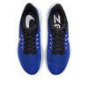 Nike Air Zoom Pegasus 39 'Racer Blue' DH4071-400