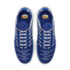 Nike Air Max Plus 'Arctic Chill' CW7024-400