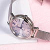 CASIOSHEEN Solar Powered Quartz Waterproof Sapphire Crystal Silver Analog