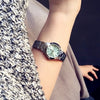 CASIOQuartz Waterproof Blue Watch Dial Blue Analog