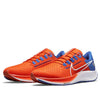 Nike Air Zoom Pegasus 38 'Florida' DJ0826-800